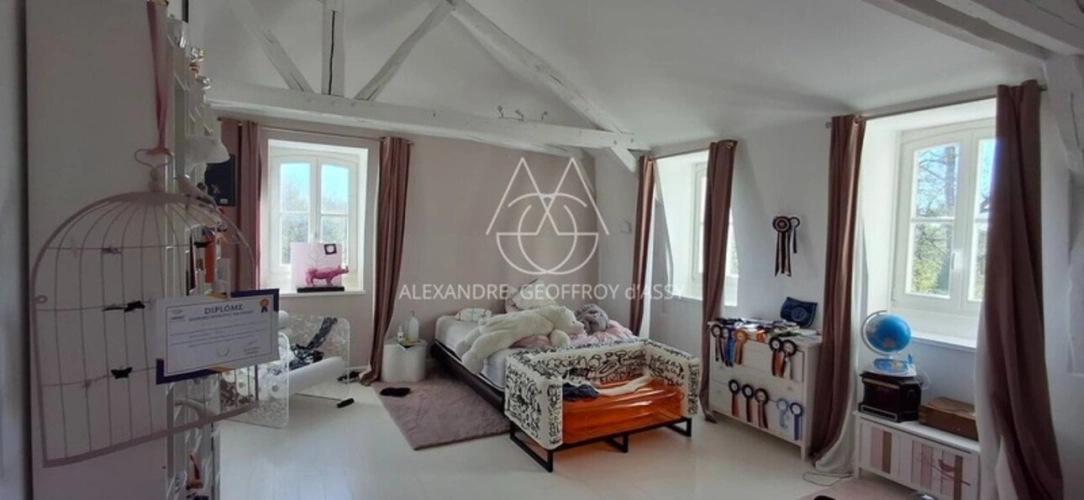 Photos 14 - Prestige - Magnifique château prêt à emménager à 20 min de Tours! Prenez simplement les clés et installez-vous