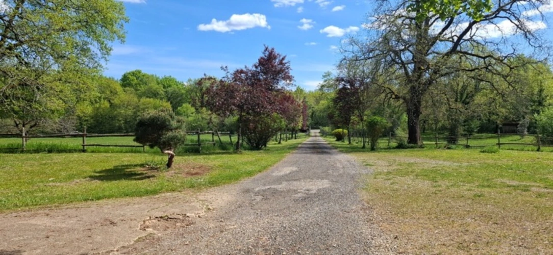 Photos 4 - Équestre - THENON (24)A vendre, Propriété composée de deux maisons sur 5.5 ha de prés (possibilité haras) et de bois