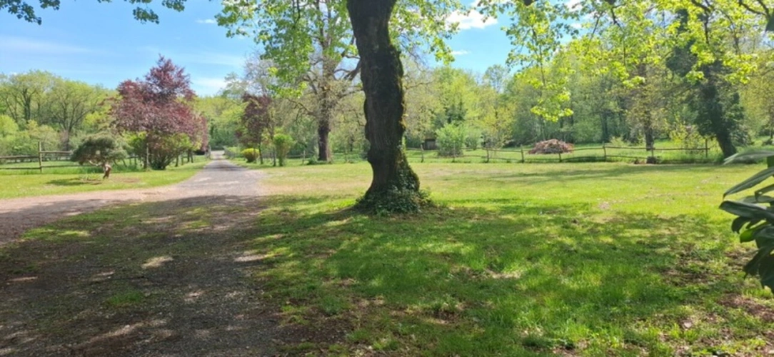 Photos 5 - Équestre - THENON (24)A vendre, Propriété composée de deux maisons sur 5.5 ha de prés (possibilité haras) et de bois