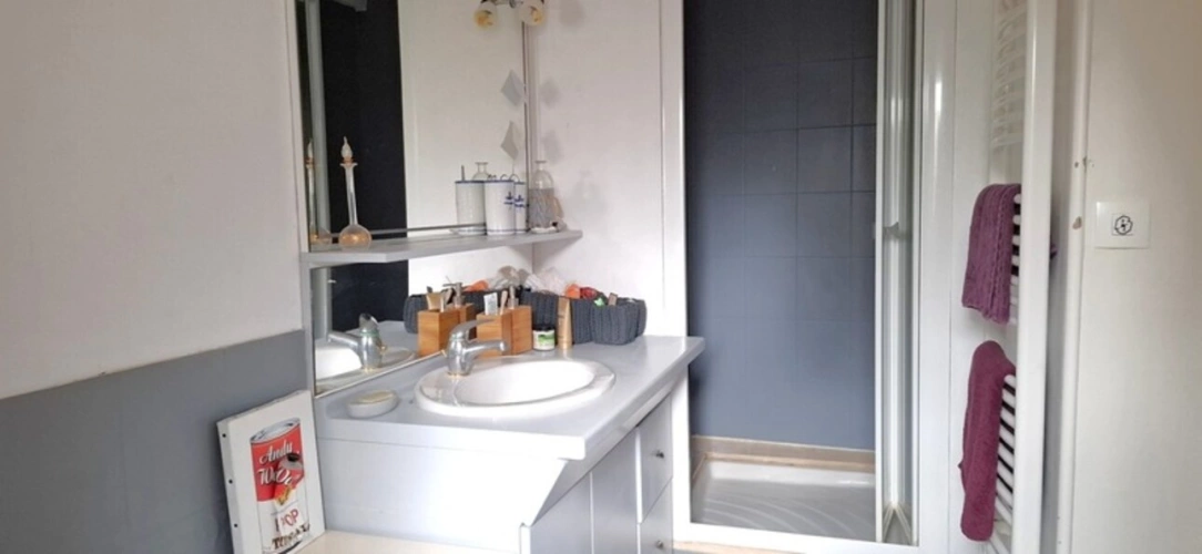 Photos 20 - Équestre - THENON (24)A vendre, Propriété composée de deux maisons sur 5.5 ha de prés (possibilité haras) et de bois