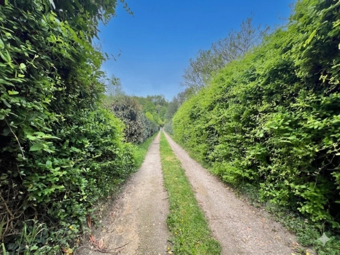 Photos 19 - Rurale - Propriété de charme bord de riviére 242m²