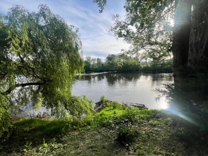 Photos 4 - Rurale - Propriété de charme bord de riviére 242m²