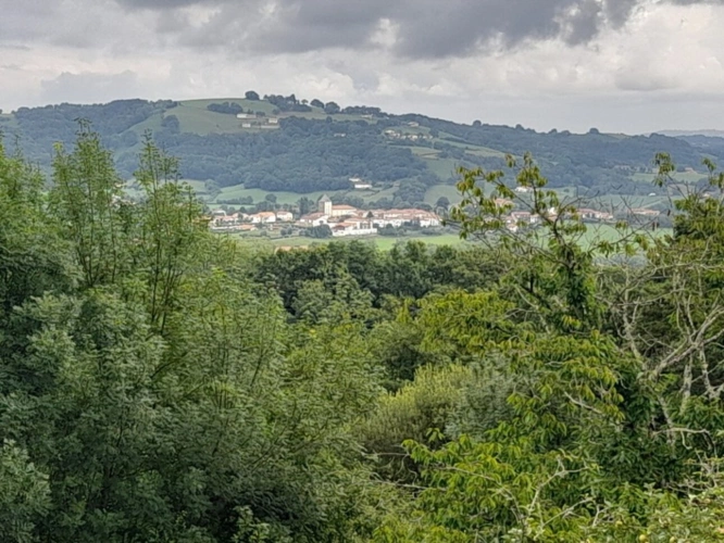 Photos 3 - Prestige - Propriete à vendre 7 pièces SARE (64)