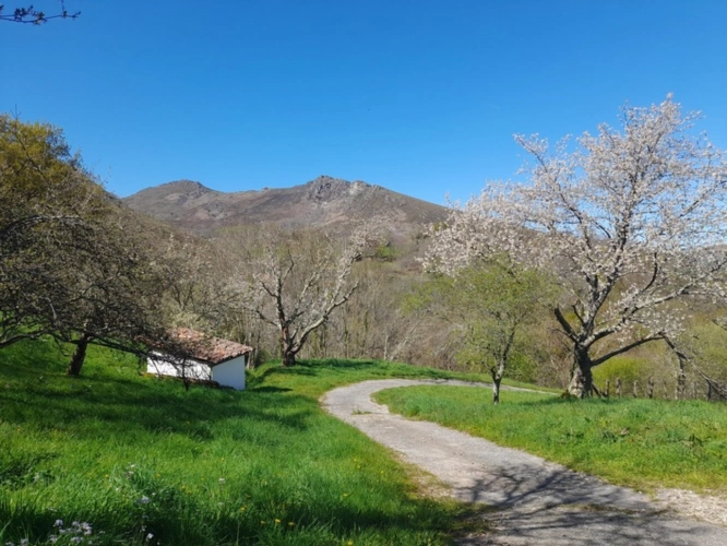 Photos 18 - Prestige - Propriete à vendre 7 pièces SARE (64)