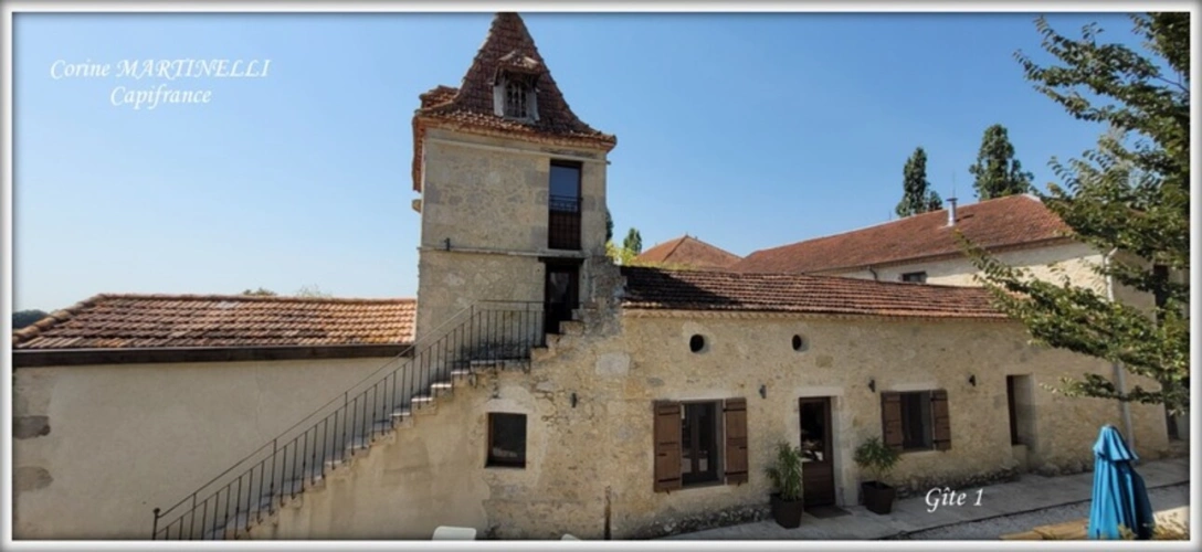 Photos 25 - Prestige - Propriete à vendre 22 pièces proche de AGEN (47) 4 habitations 885 m² + dépendances, 27 ha