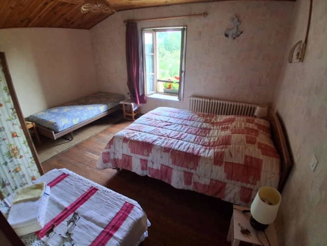 Photos 19 - Touristique - PLOMBIERES LES BAINS (88) Coprs de ferme de 300m² + Gîte de 120m²  activité de chambres d'hôtes terrain 2 hectares