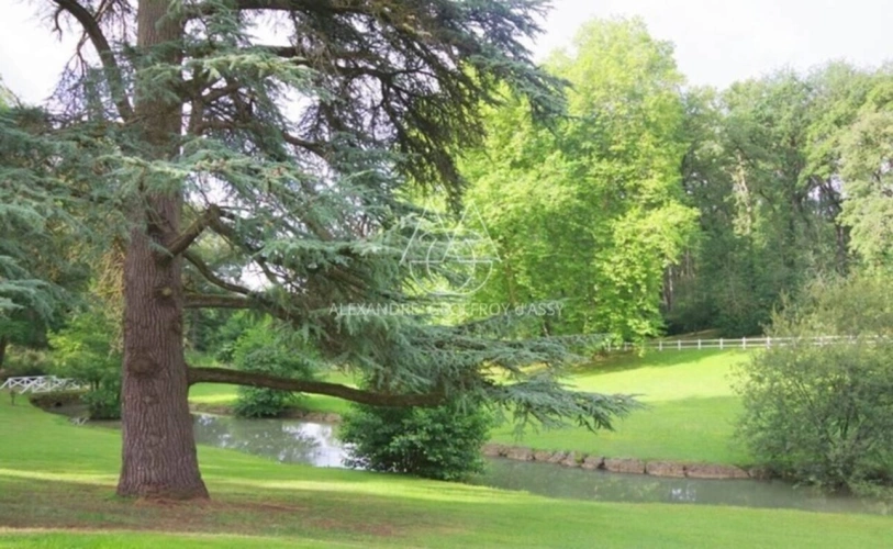 Photos 6 - Prestige - Château du XIXe siècle avec un parc de 75 ha, située à proximité immédiate de Poitiers