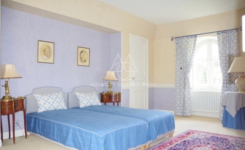 Photos 10 - Prestige - Château du XIXe siècle avec un parc de 75 ha, située à proximité immédiate de Poitiers