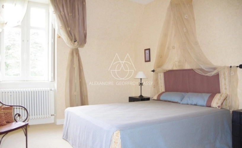 Photos 16 - Prestige - Château du XIXe siècle avec un parc de 75 ha, située à proximité immédiate de Poitiers