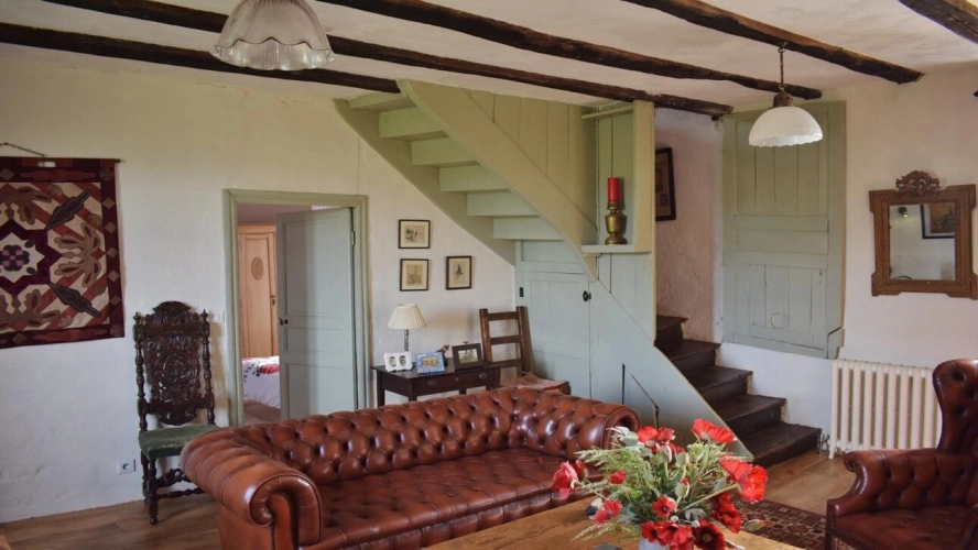 Photos 13 - Equestrian - Property