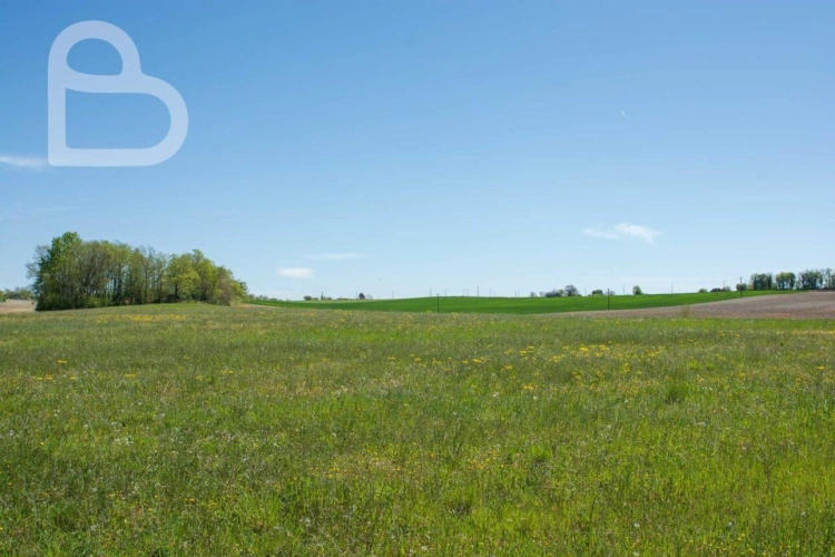 Photos 28 - Prestige - Superbe domaine avec 2 maisons, dépendances et piscine