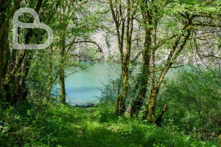 Photos 29 - Prestige - Superbe domaine avec 2 maisons, dépendances et piscine