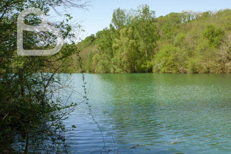 Photos 30 - Prestige - Superbe domaine avec 2 maisons, dépendances et piscine