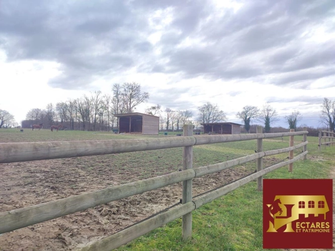 Photos 5 - Equestrian - Property 21 hectares 2 dwellings