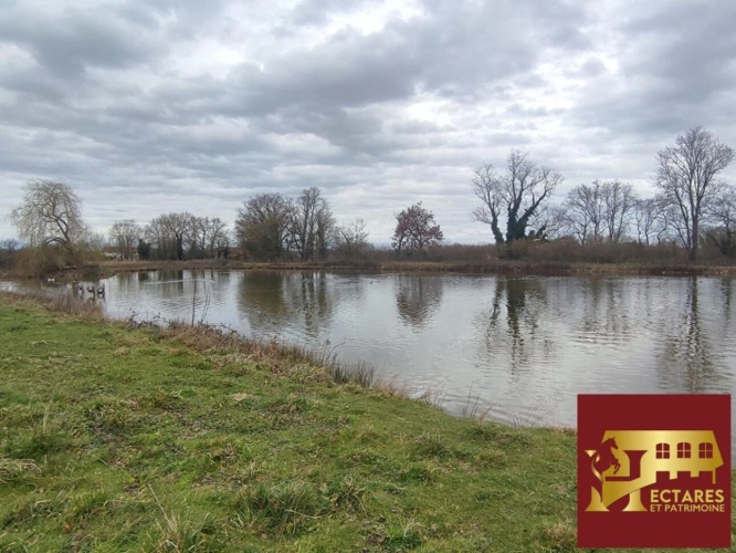 Photos 9 - Equestrian - Property 21 hectares 2 dwellings