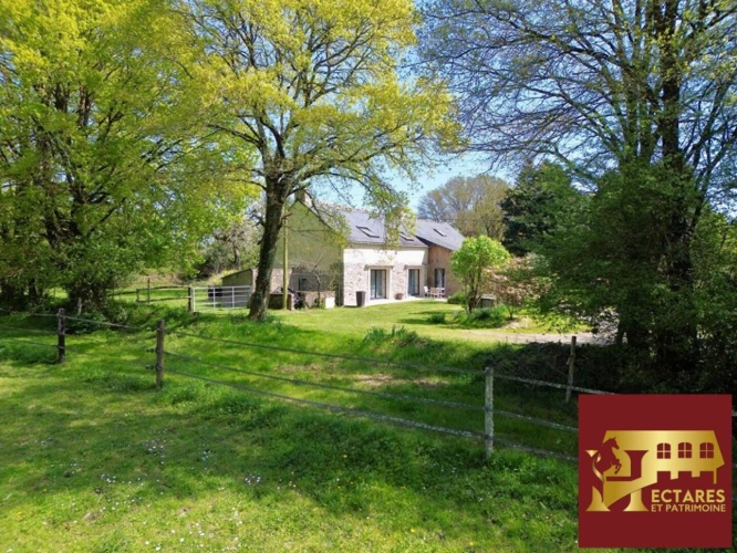 Photos 2 - Equestrian - Maison Blain 8 pièce(s) 220 m2, 4 hectares