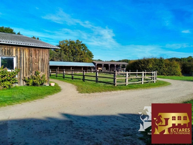 Photos 4 - Equestrian - Propriété équestre Blain 10 pièce(s) 15 hectares