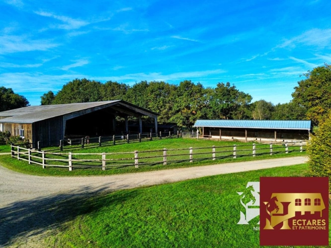 Photos 6 - Equestrian - Propriété équestre Blain 10 pièce(s) 15 hectares