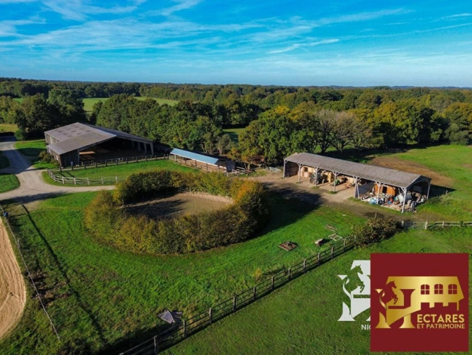 Photos 7 - Equestrian - Propriété équestre Blain 10 pièce(s) 15 hectares
