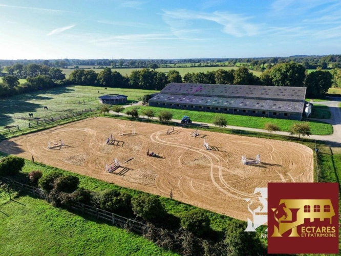 Photos 8 - Equestrian - Propriété équestre Blain 10 pièce(s) 15 hectares