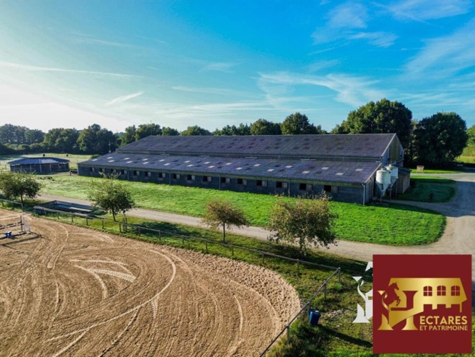 Photos 10 - Equestrian - Propriété équestre Blain 10 pièce(s) 15 hectares