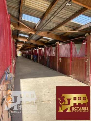 Photos 11 - Equestrian - Propriété équestre Blain 10 pièce(s) 15 hectares