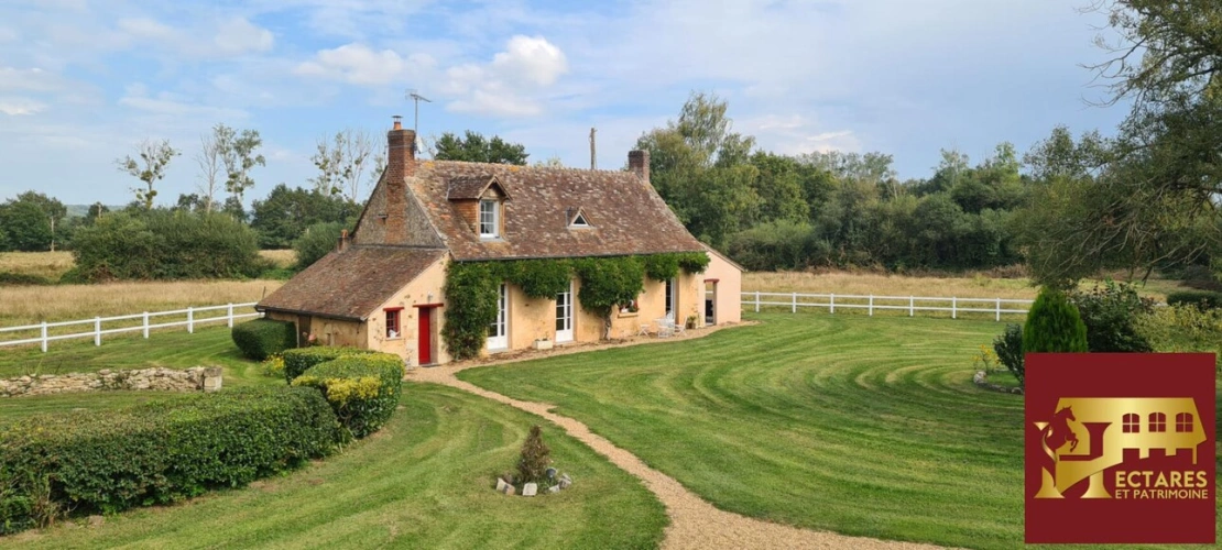 Photos 2 - Équestre - LA FLECHE Propriété équestre avec gîtes