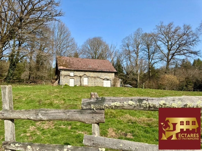 Photos 4 - Équestre - Propriété clé en main avec 6,2 ha et rivière