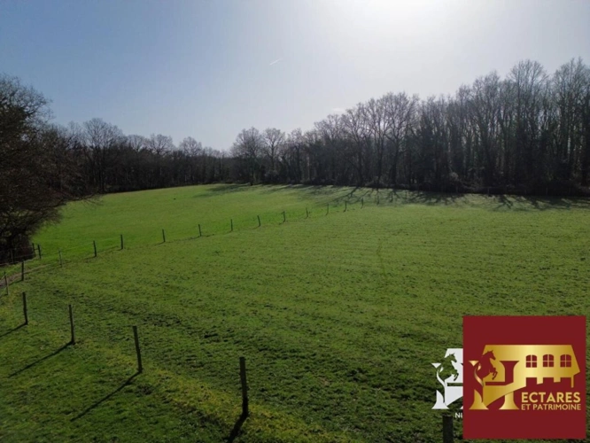 Photos 3 - Équestre - Maison Saint Sebastien Sur Loire 153 m2, 1,5 hectare en location