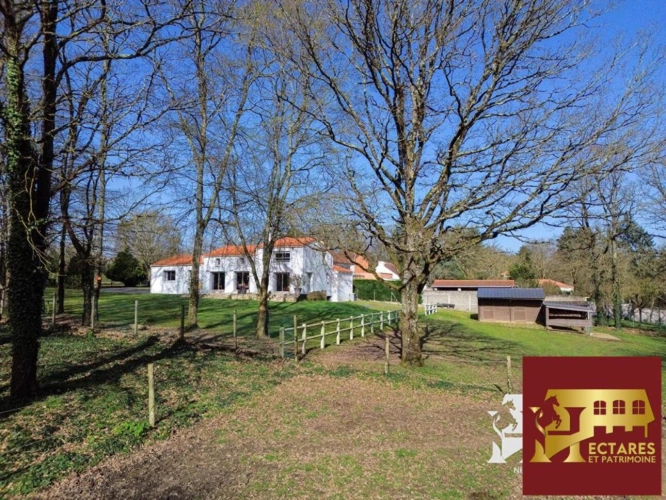 Photos 4 - Équestre - Maison Saint Sebastien Sur Loire 153 m2, 1,5 hectare en location