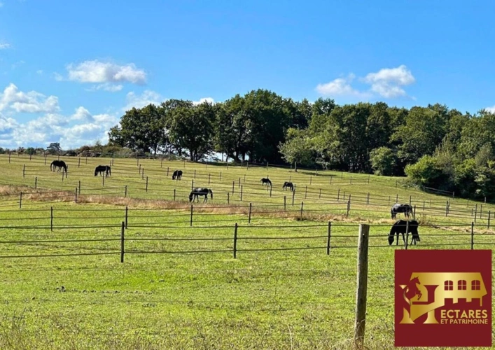 Photos 4 - Équestre - Domaine de 41 hectares, maison de maître et installations équestres en Périgord Vert