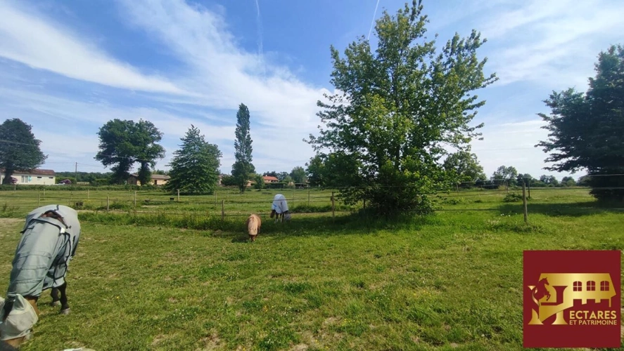 Photos 14 - Équestre - Charmante propriété équestre 3,5 hectares