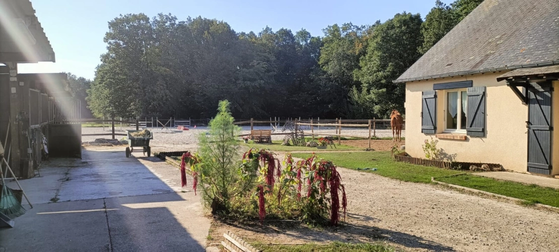 Photos 1 - Équestre - Propriété équestre d'exception proche Paris installations complètes & cadre privilégié