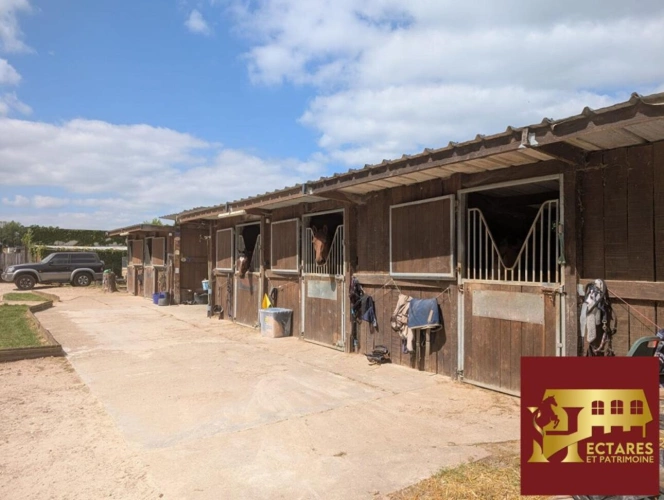 Photos 3 - Équestre - Propriété équestre d'exception proche Paris installations complètes & cadre privilégié