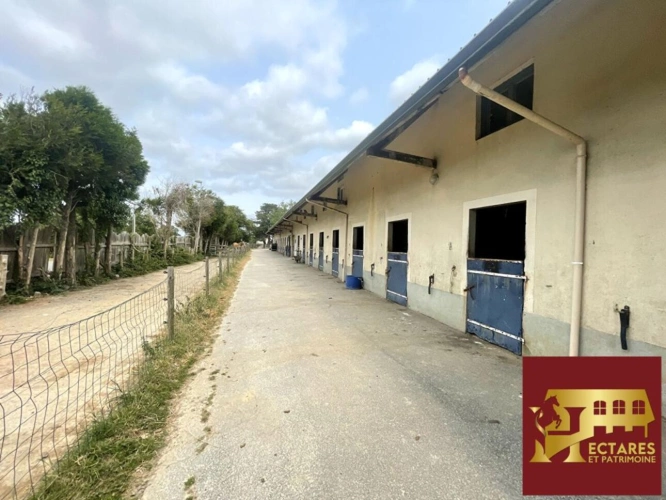 Photos 6 - Equestrian - Centre équestre en activité sur près de 8 hectares
