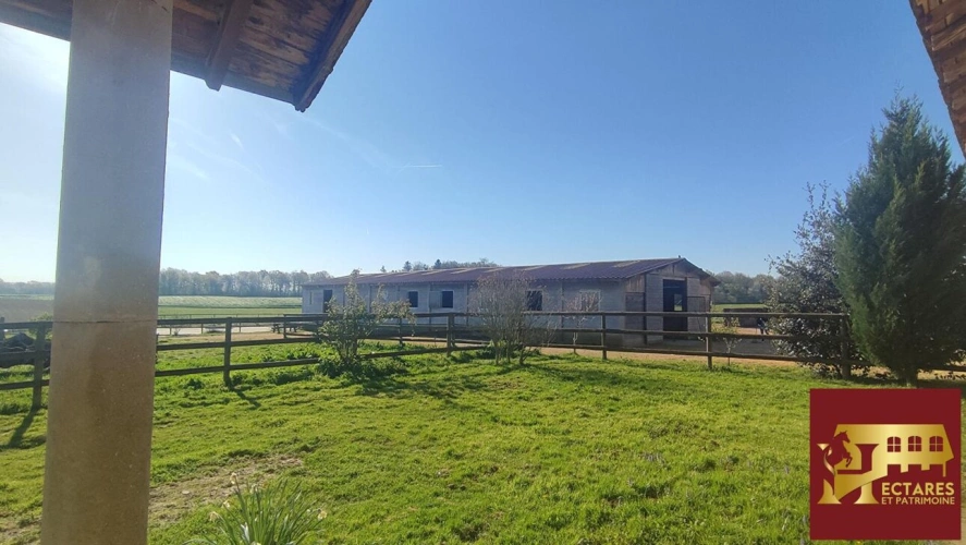 Photos 9 - Équestre - Habitation et écurie sur 4,1 hectares