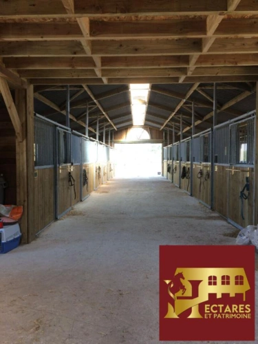 Photos 7 - Equestrian - PROPRIETE EQUESTRE - MAISON + INSTALLATIONS + HECTARES