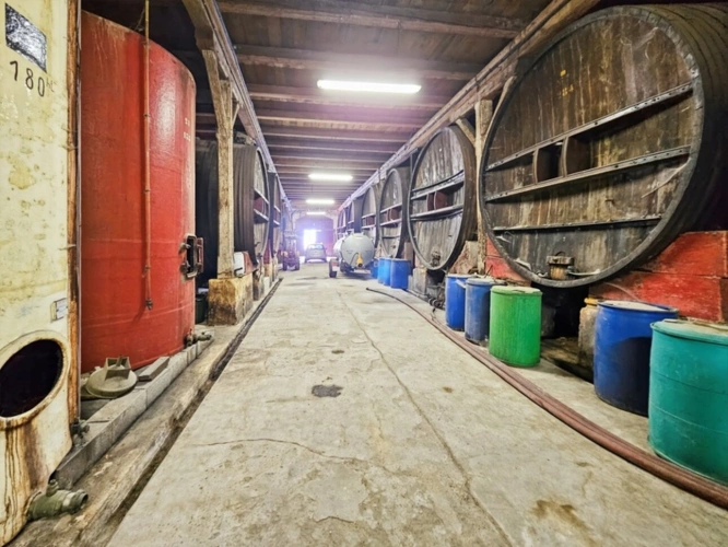 Photos 2 - Viticole - Domaine viticole de prestige – Minervois – 63 hectares – opportunité rare