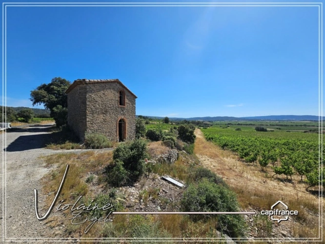 Photos 4 - Viticole - Domaine viticole de prestige – Minervois – 63 hectares – opportunité rare