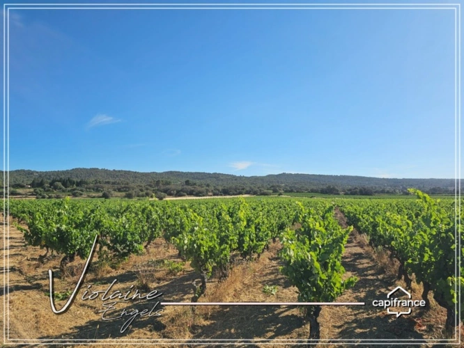 Photos 21 - Viticole - Domaine viticole de prestige – Minervois – 63 hectares – opportunité rare