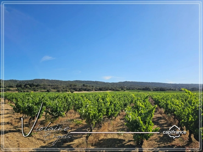 Photos 22 - Viticole - Domaine viticole de prestige – Minervois – 63 hectares – opportunité rare