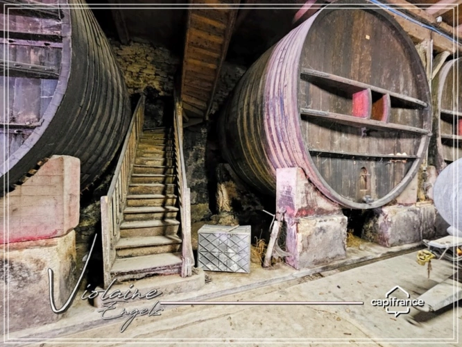 Photos 29 - Viticole - Domaine viticole de prestige – Minervois – 63 hectares – opportunité rare