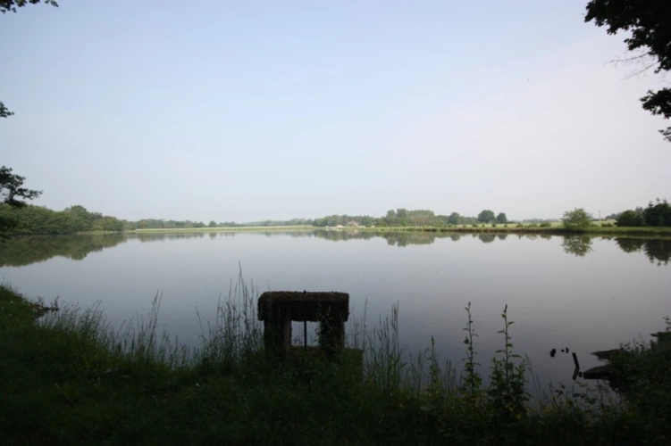 Photos 3 - Prestige - Propriete à vendre sur 35 hectares, 14 pièces piscine, tennis, chasse, pêche, équitation, au coeur de la Dombes