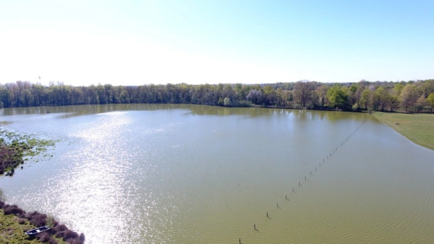 Photos 4 - Prestige - Propriete à vendre sur 35 hectares, 14 pièces piscine, tennis, chasse, pêche, équitation, au coeur de la Dombes