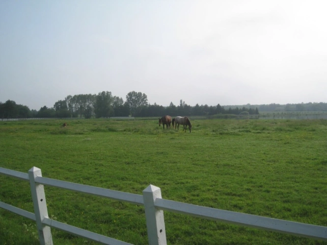 Photos 5 - Prestige - Propriete à vendre sur 35 hectares, 14 pièces piscine, tennis, chasse, pêche, équitation, au coeur de la Dombes