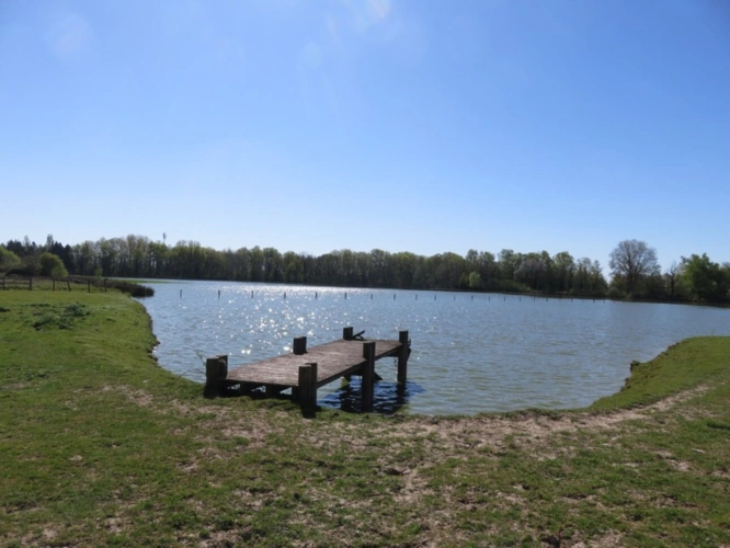 Photos 7 - Prestige - Propriete à vendre sur 35 hectares, 14 pièces piscine, tennis, chasse, pêche, équitation, au coeur de la Dombes