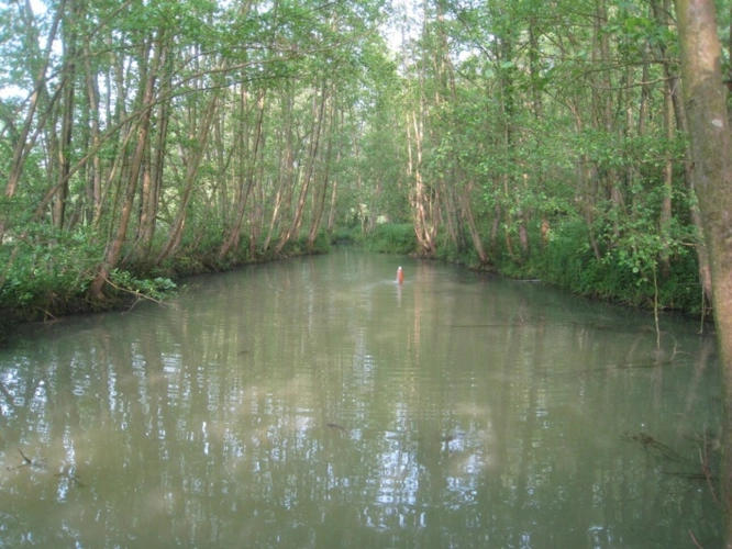 Photos 15 - Prestige - Propriete à vendre sur 35 hectares, 14 pièces piscine, tennis, chasse, pêche, équitation, au coeur de la Dombes