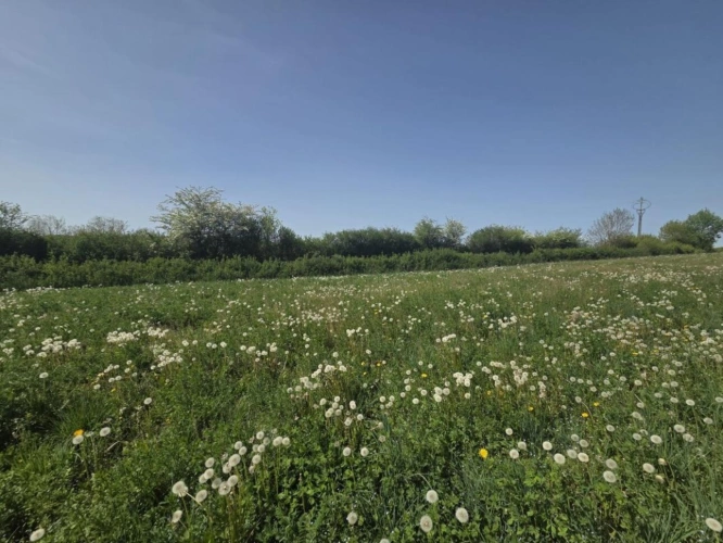 Photos 6 - Rurale - Maison