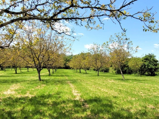 Photos 6 - Touristique - Resorts