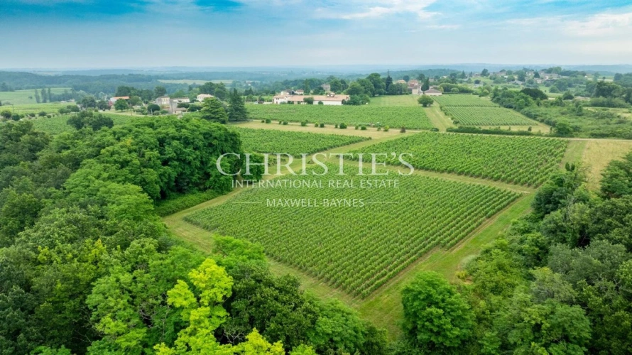 Photos 20 - Prestige - Domaine historique au cœur de l’Entre-Deux-Mers – un trésor du patrimoine bordelais à redécouvrir